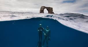 Part of the galápagos archipelago, darwin island is a small. Scuba Diving Options In The Galapagos Islands What You Need To Know