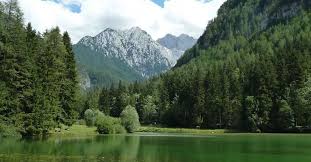 Bio Bauernhof Im Herzen Der Steiner Alpen Slowenien Biobauernhof Bauernhof Slowenien