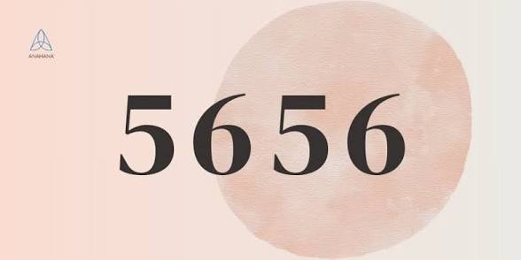 https://encrypted-tbn0.gstatic.com/images?q=tbn:ANd9GcSMubnNrVs43chImMhePjTjEl8RC6wgPfQdX5M8PjATFQ&s=10