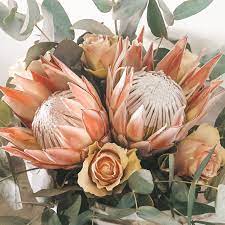 King Protea Roses Arrangements Floral Weddings Protea King Protea Floral Arrangements