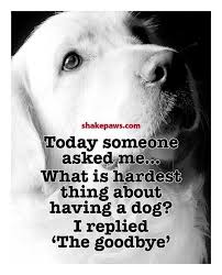 Absolutely Heartbreaking But Worth It For The Unconditional Love And Companionship They Give What Do You Think About Thi Dog Quotes Dog Poems Pet Remembrance