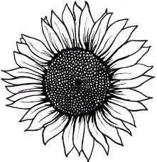 82ac1a5e49484cdb05e65579eb38d323 Jpg 736 759 Sunflower Drawing Sunflower Tattoo Small Sunflower Tattoo Simple