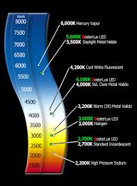 *all recon headlight bulbs are sold as a pair. Graphs Doster Lighting Inc