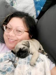 Pet insurance recommendations near Encino?