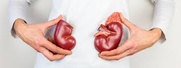 Grandma S Kidney Stone Remedies Not All They Re Cracked Up To Be Partners In Urology
