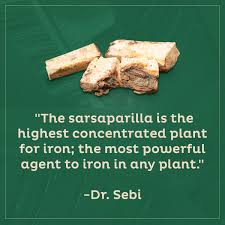 Image result for Dr Sebi Sarsaparilla