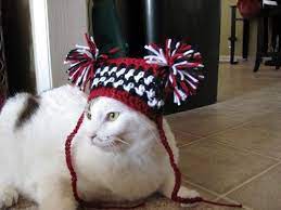 Pin By Debra Thomas On Defiant Creations Hats For Cats Dog Hats Pet Costumes