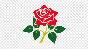 Victorian cricket team logo, hd png download. England Cricket Team Png Images Pngegg