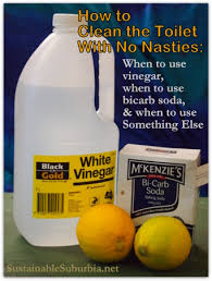 So just wait till it settles down there. How To Clean The Toilet Should You Use Vinegar Bicarb Soda Or Something Else Sustainable Suburbia