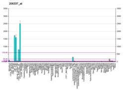 The chemokine receptor ccr7 activates in dendritic cells two signaling modules that independently regulate chemotaxis and migratory speed. C C Chemokine Receptor Type 7 Wikipedia
