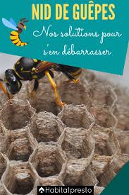 La production se fait conformément aux normes de qualité les plus élevées. Nid De Guepes 4 Solutions Efficaces Pour S En Debarrasser Nid De Guepes Guepe Piege A Guepe Maison