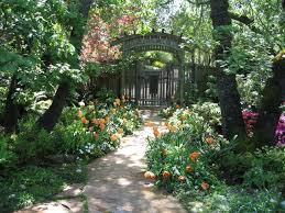 My shade gardens are the best low maintenance gardens. How To Design A Beautiful Shade Garden