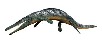 Check out inspiring examples of archegosaurus artwork on deviantart, and get inspired by our community of talented artists. Archegosaurus Photos Royalty Free Images Graphics Vectors Videos Adobe Stock