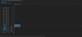 Simplenya kalau kita tau apa yang kita inginkan semuanya akan bisa dilalui, kalo ga ngerti ya bertanya. Cynematography Cara Menambah Track Di Adobe Premiere Pro