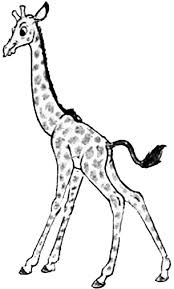 To begin, draw three circles and connects them together with straight lines as pictured here. How To Draw Cartoon Giraffes Step By Step Drawing Tutorial How To Draw Step By Step Drawing Tutorials Cartoon Giraffe Cartoon Drawings Giraffe Cartoon Drawing