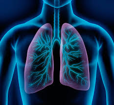 Check spelling or type a new query. Maladie Pulmonaire Obstructive Chronique