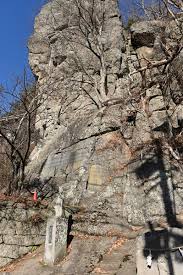 As a child, oda was inspired by vikings and aspired to become a manga artist. Lr1t5h3qqpevqm