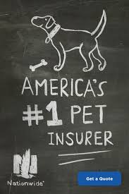 Protect against pet injury and illness. Protect Your Furry Friend With Nationwide Pet Insurance Cat Illnesses Pets Pet Owners