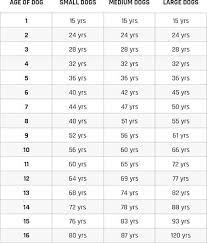 How Old Is Your Dog In Human Years Actijoy
