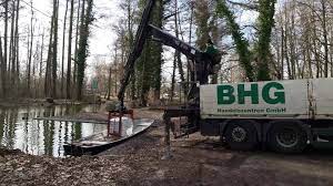 5 plants to put in your bedroom for a better night's sleep. Bhg Handelszentren Home Facebook