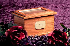 Pets at peace alabama offers pet cremation and care your furry friend so deserves in the moments of their final farewell. Pet Cremation Service Pet Crematorium Pet Burial Dog Cat Animal Cremations Sydney Blue Mountains Newcastle Central Coast Central West Macarthur Pets At Peace