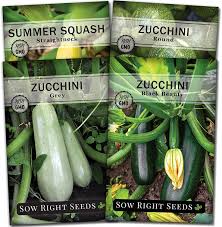 Amazon Com Sow Right Seeds Zucchini Squash Seed Collection For Planting Black Beauty Grey Round Zucchinis And Yellow Straightneck Summer Squash Non Gmo Heirloom Seeds To Plant A Home Vegetable Garden