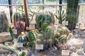 Address, phone number, botanischer garten reviews: Der Botanische Garten In Jena