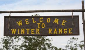 Image result for 45 acp wild bunch