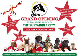 Members (3):thomas leahy (president) andrea wartluft (dvm) jennifer clark. Grand Opening Star Veterinary Clinic In The Sustainable City British Mums