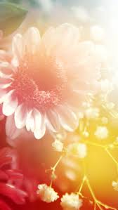 806 aesthetic wallpaper stock video clips in 4k and hd for creative projects. K8vtfvd Ooqorm