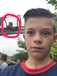 Pin by Tanner Breault