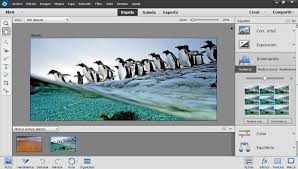 Photoshop lightroom may be worth a download whether you're a skilled designer or are just loo. Adobe Photoshop Elements 2021 Free Download Softlinko