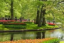 Wholesale flowers, plants and decorative articles. Keukenhof Wikipedia