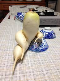 When you know the basic principles of working electrical and electronic equipment, you can make the devices that you need on your own. An Exceptionally Suave And Sophisticated Daikon Radish Pics