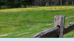 Perth's most trusted fence builders. Best 15 Fence Contractors Installers In Perth Wa Au Houzz