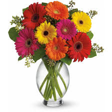 Gentle Thoughts Spray By Teleflora In San Jacinto Ca San Jacinto Florist