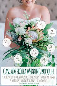 Bride in lace dress holding beautiful white wedding flowers bouquet. Cascading Protea Wedding Bouquet Recipe