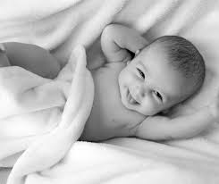 Tampa Services and Promotions