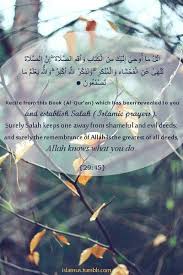 Ndiarignou lawa anzalna hazal quran par oustaz hady niass bienfaits sourate hashr 59 versets 21. 13 Allahoo Ideas Islamic Quotes Islam Quran