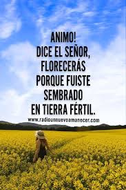 Pin En Dios Es Amor