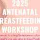 Antenatal Breastfeeding Workshop November 2025 event image