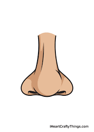 Art projects for kids is a collection of fun and easy art projects that include hundreds of how to draw tutorials. Nose Drawing How To Draw A Nose Step By Step