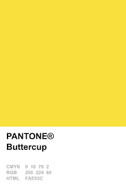 Pantone 2016 Buttercup Intro Color With Black Font Either With Kyle I Spy Playing In The Background Colores Pantone Carta Pantone Pantone Amarillo