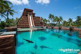 Which Atlantis Is For You An Expert Breakdown Of The Massive Resort Oyster Com Island hotel company llc is responsible for this page. which atlantis is for you an expert