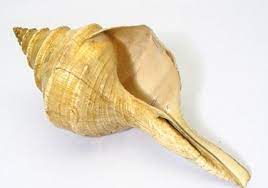 Bijol mempunyai bagian wadah resonansi yang. 10 Alat Musik Tradisional Maluku Dan Cara Memainkannya Tambah Pinter