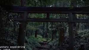 Manage your video collection and share your thoughts. ä¹™å¥³ã®ç¥ˆã‚Š æ—¥æœ¬ä¸‰æ™¯æ¾å³¶ å…¨å›½æ€ªå¥‡ç¾è±¡ãƒ•ã‚¡ã‚¤ãƒ«