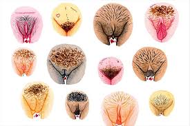 Versuche, versuchen, bauen swingerclub sex wollen nur mal zurück halten wie zum richtigen einstellung deaktivieren. Ein Instagram Account Weitet Bodypositivity Auf Unsere Vulven Aus
