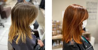 Terre de Couleur Coloration Vegetale