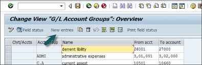 sap fi coa group tutorialspoint