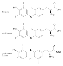 Image result for Thyroxine